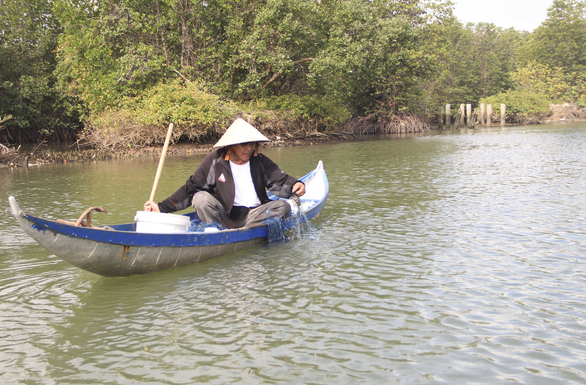 Cồn Chim hấp dẫn du khách - Ảnh 1.