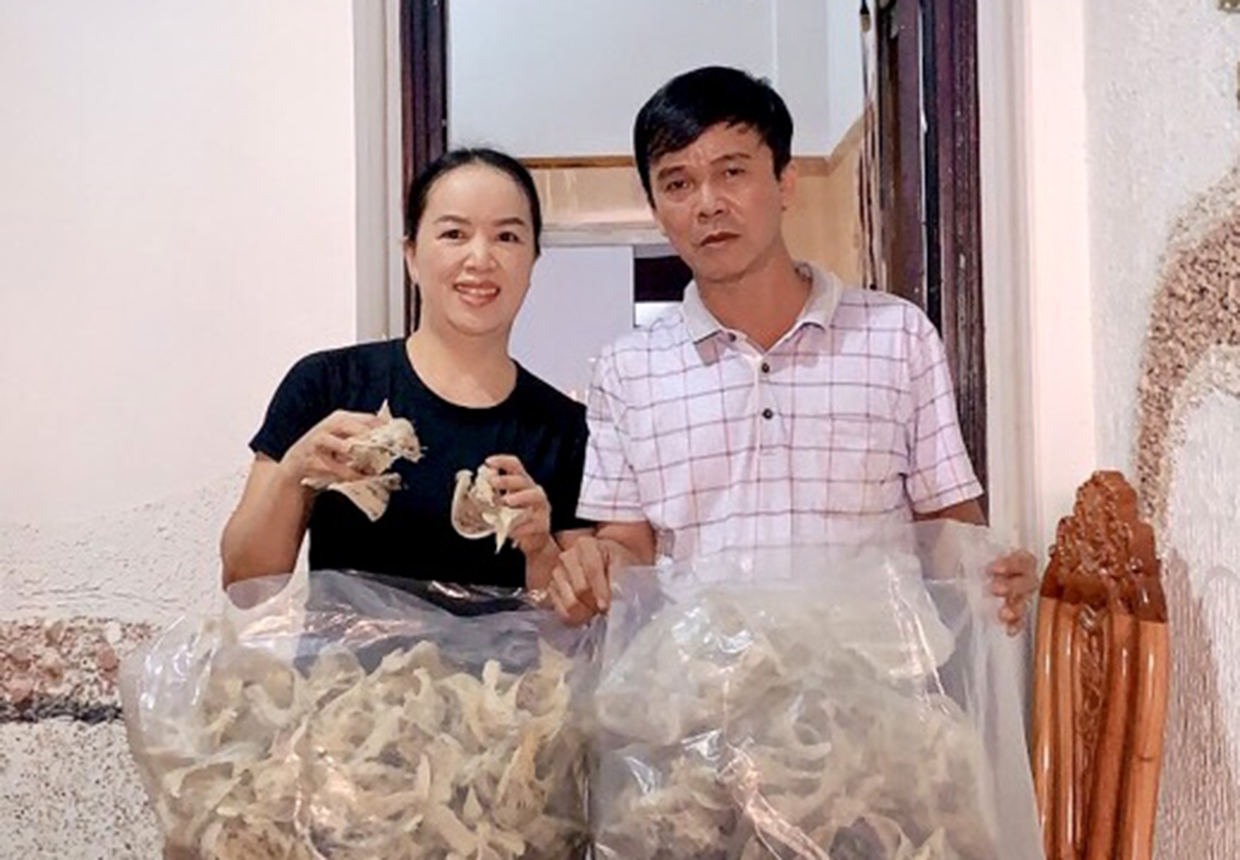 Gia Lai: Giá tổ &quot;chim tiền tỷ&quot; tăng cao, cảnh báo mua phải hàng trôi nổi, tẩm thêm đường, trộn cả mủ trôm - Ảnh 1.