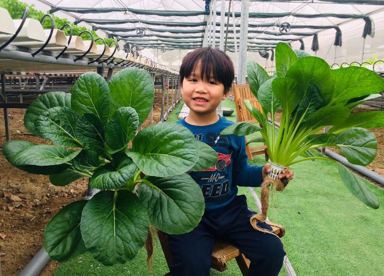 Trẻ mầm non HN trở lại trường: Chuyên gia chỉ cách phòng lây nhiễm - Ảnh 2.