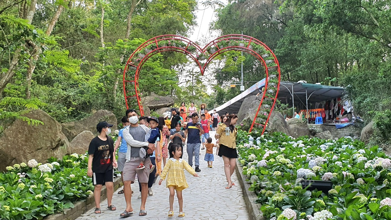 Tourists flock to check-in at flower street, Hon Trong Mai Love Festival - Photo 9.