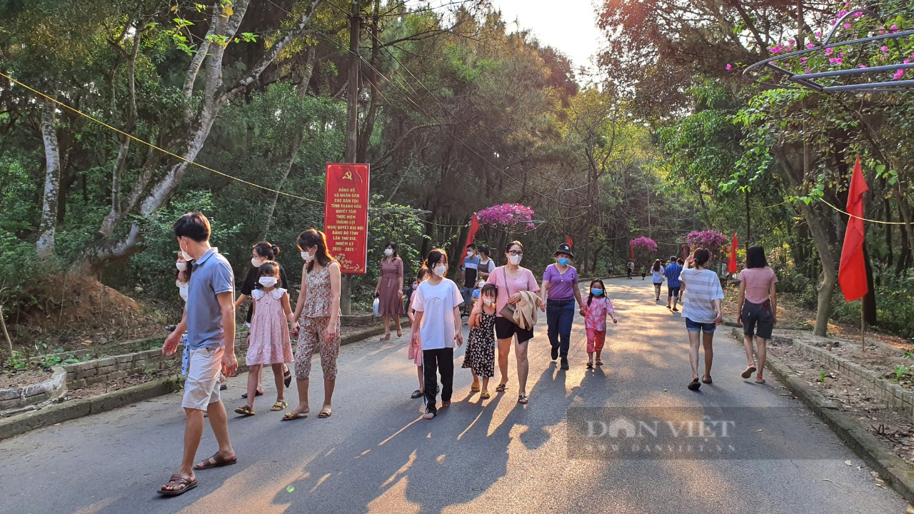 Tourists flock to check-in at the flower street of Hon Trong Mai Love Festival - Photo 1.