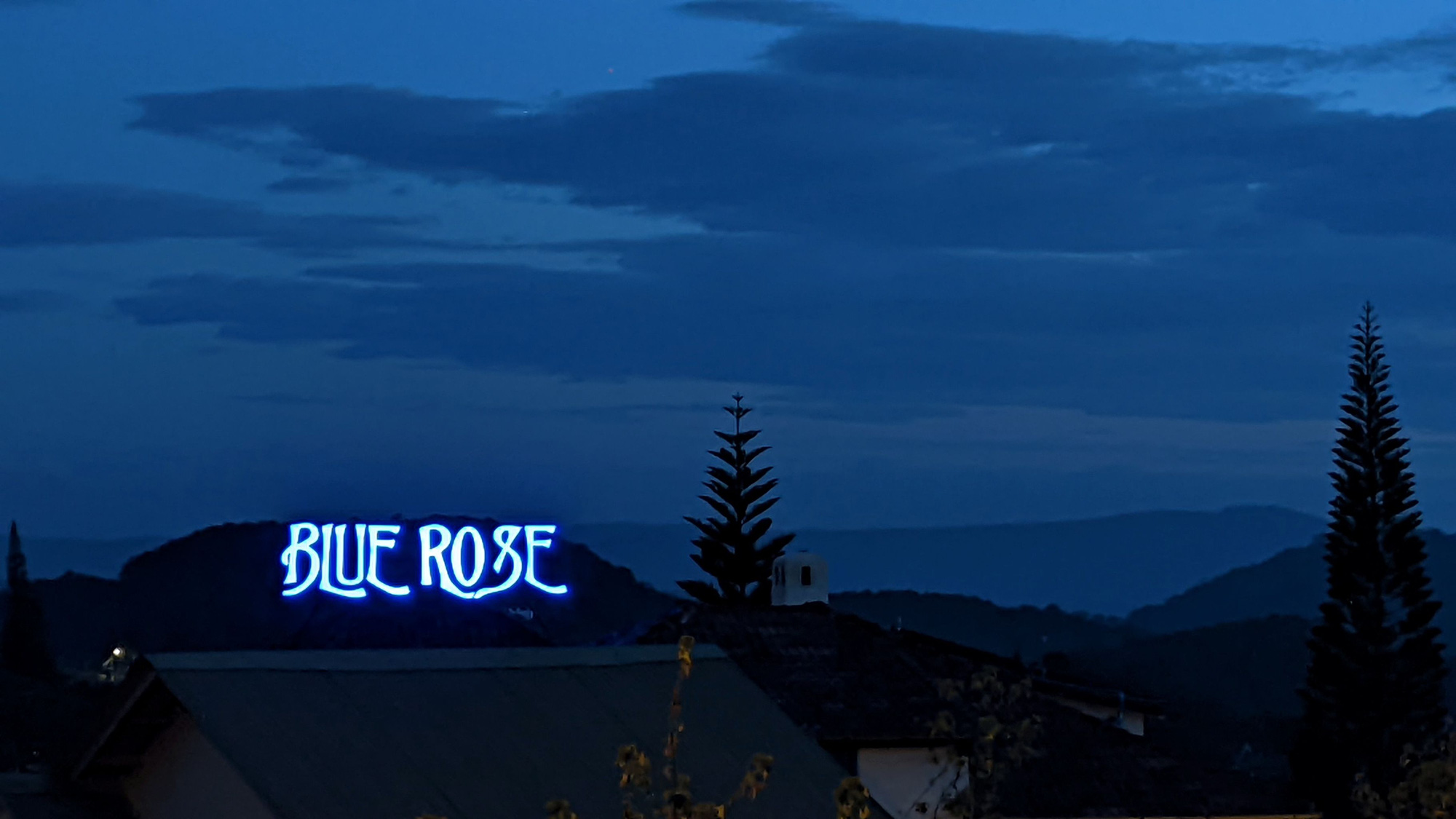 Blue Rose, bông hồng xanh mang khoảng lặng ở xứ mộng mơ - Ảnh 7.