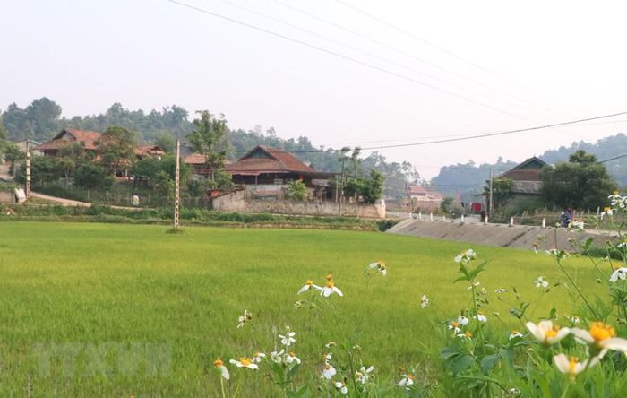 Về Mường Phăng ngắm không gian bản làng của đồng bào Thái ở Điện Biên - Ảnh 2.