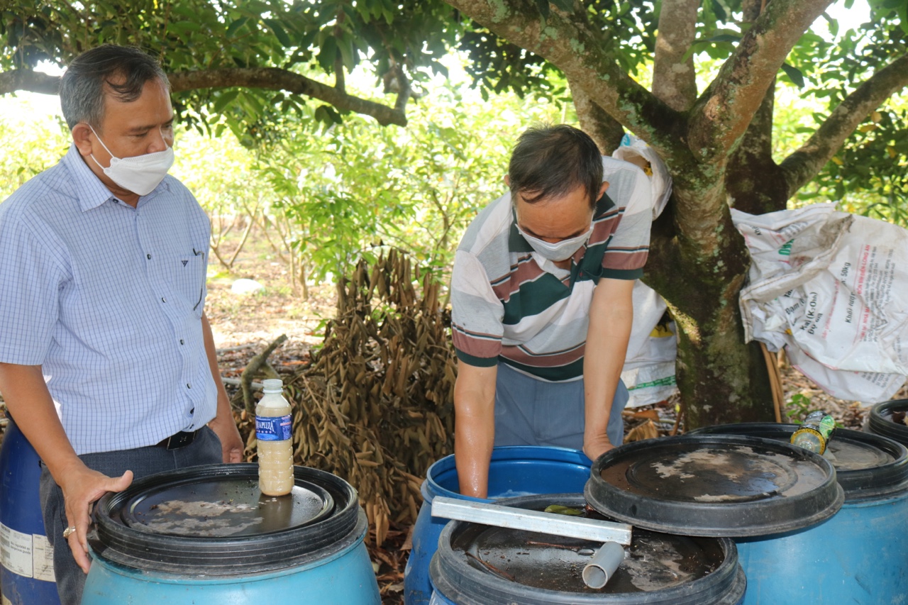 Nông dân Đồng Nai xắn tay tự làm phân bón, thuốc trừ sâu, cây ăn trái vẫn ra quả ầm ầm, tiền lời vẫn tốt - Ảnh 1.