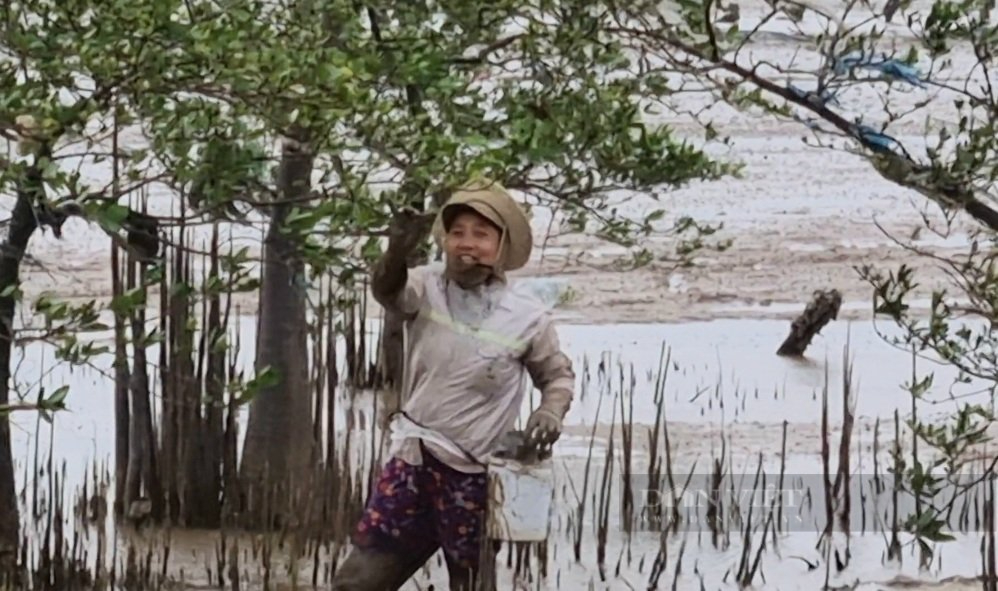 Thanh Hóa: Những phụ nữ tay không bắt cua biển giữa bãi bùn lầy - Ảnh 8.