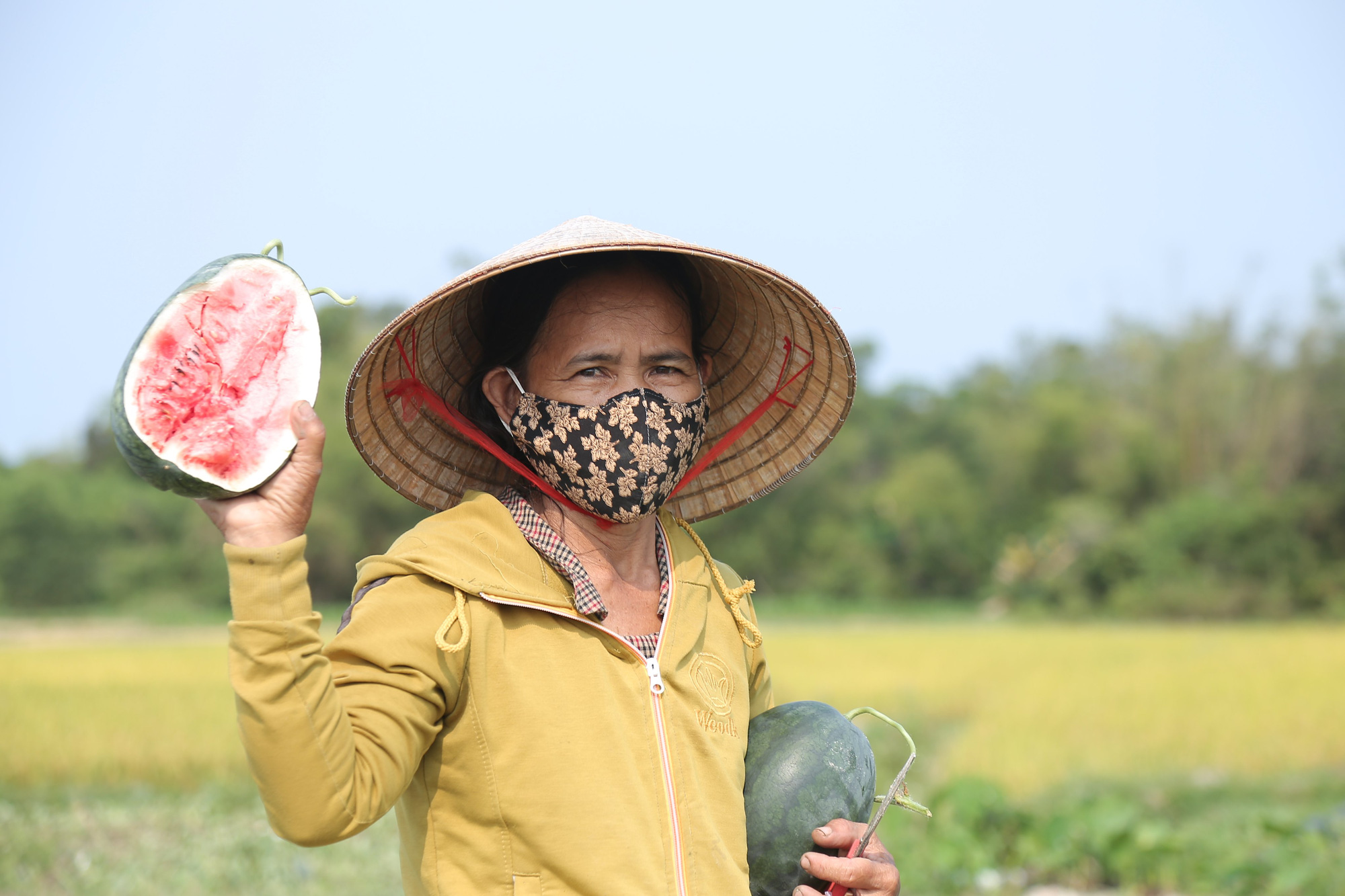 Cận cảnh hàng trăm ha dưa hấu hắc mỹ nhân chết khô, nông dân méo mặt - Ảnh 9.