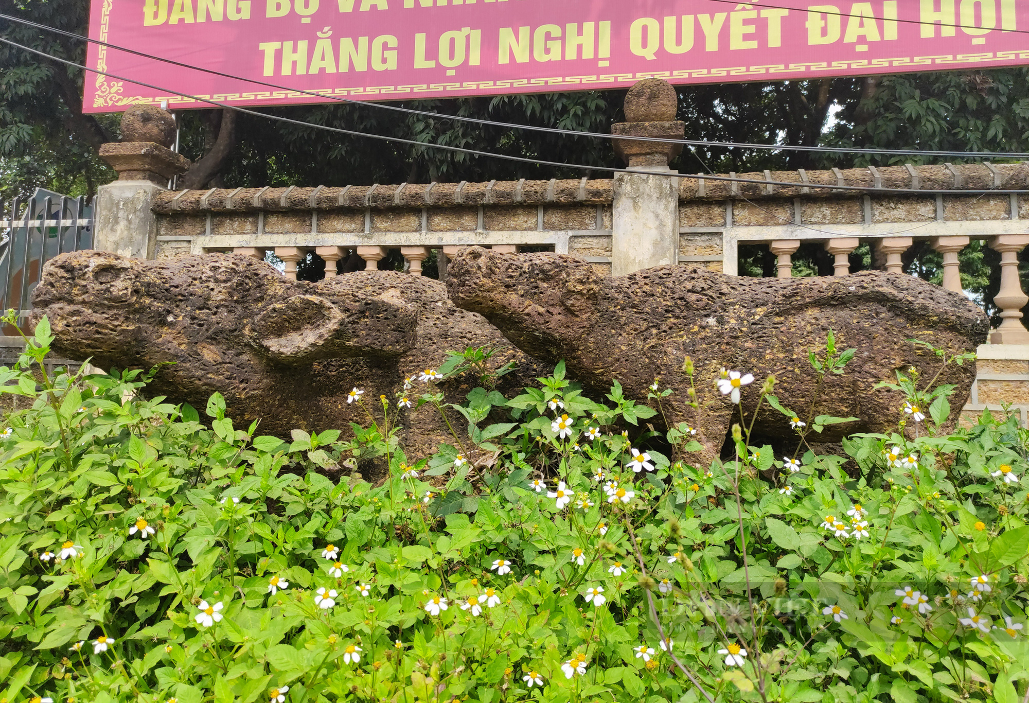 Chiêm ngưỡng kiệt tác được tạo từ đá ong có &quot;một không hai&quot; ở Hà Nội - Ảnh 10.