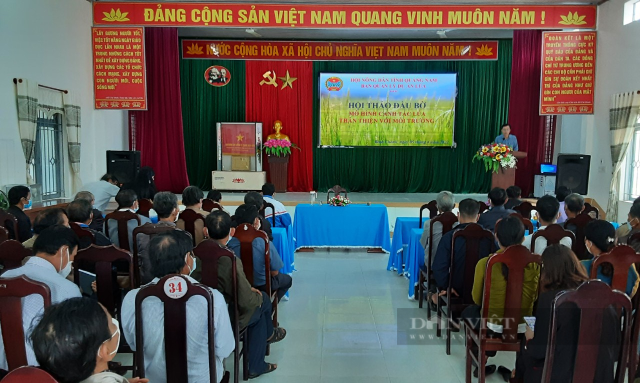 Quảng Nam: Ra tận đồng ruộng hướng dẫn nông dân cách trồng lúa thân thiện với môi trường - Ảnh 3.