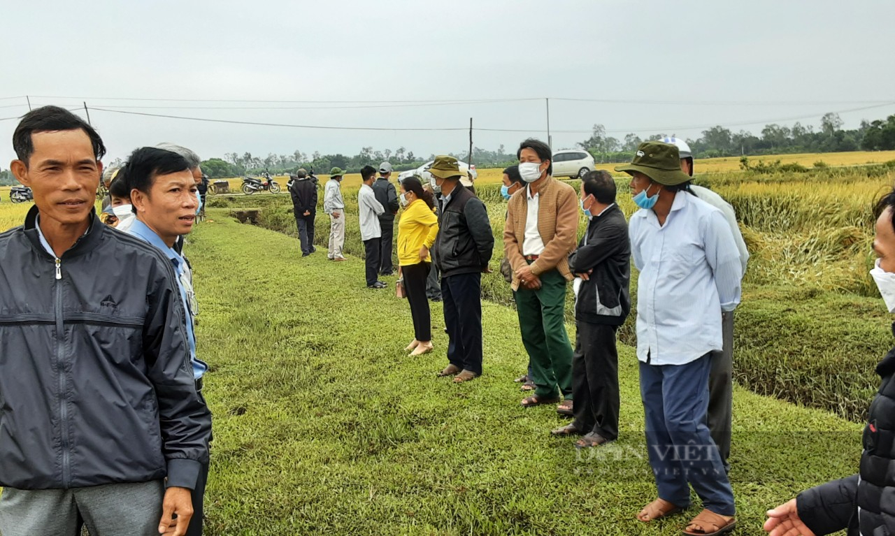 Quảng Nam: Ra tận đồng ruộng hướng dẫn nông dân cách trồng lúa thân thiện với môi trường - Ảnh 1.