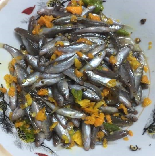 Cá rầm mùa lụt ở Quảng Nam là loài cá gì mà bắt được chỉ đem kho lá nghệ là thơm cả làng? - Ảnh 1.