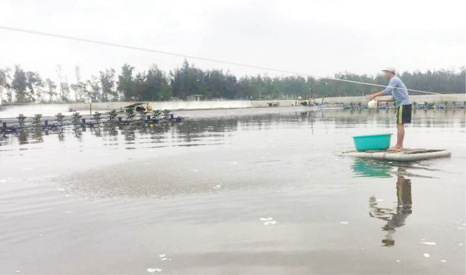 TT-Huế: Nuôi tôm trên cát ở đây năm ngoái tôm chết la liệt, năm nay thế nào mà nhiều ao hồ bỏ hoang? - Ảnh 1.