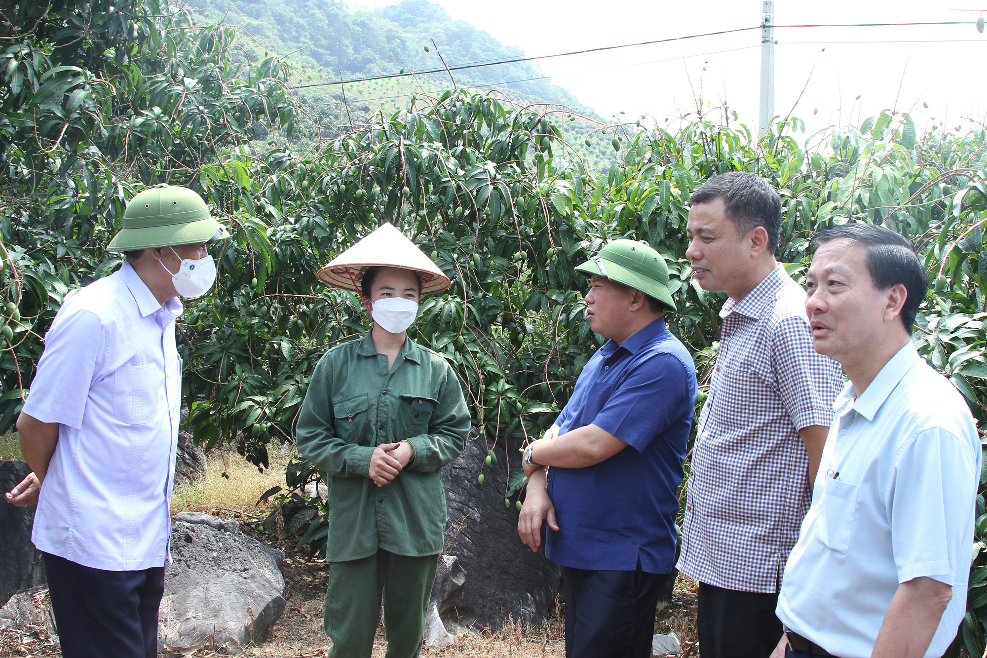 Sơn La kiểm tra tiến độ một số dự án đón Thủ tướng lên đối thoại với nông dân - Ảnh 3.
