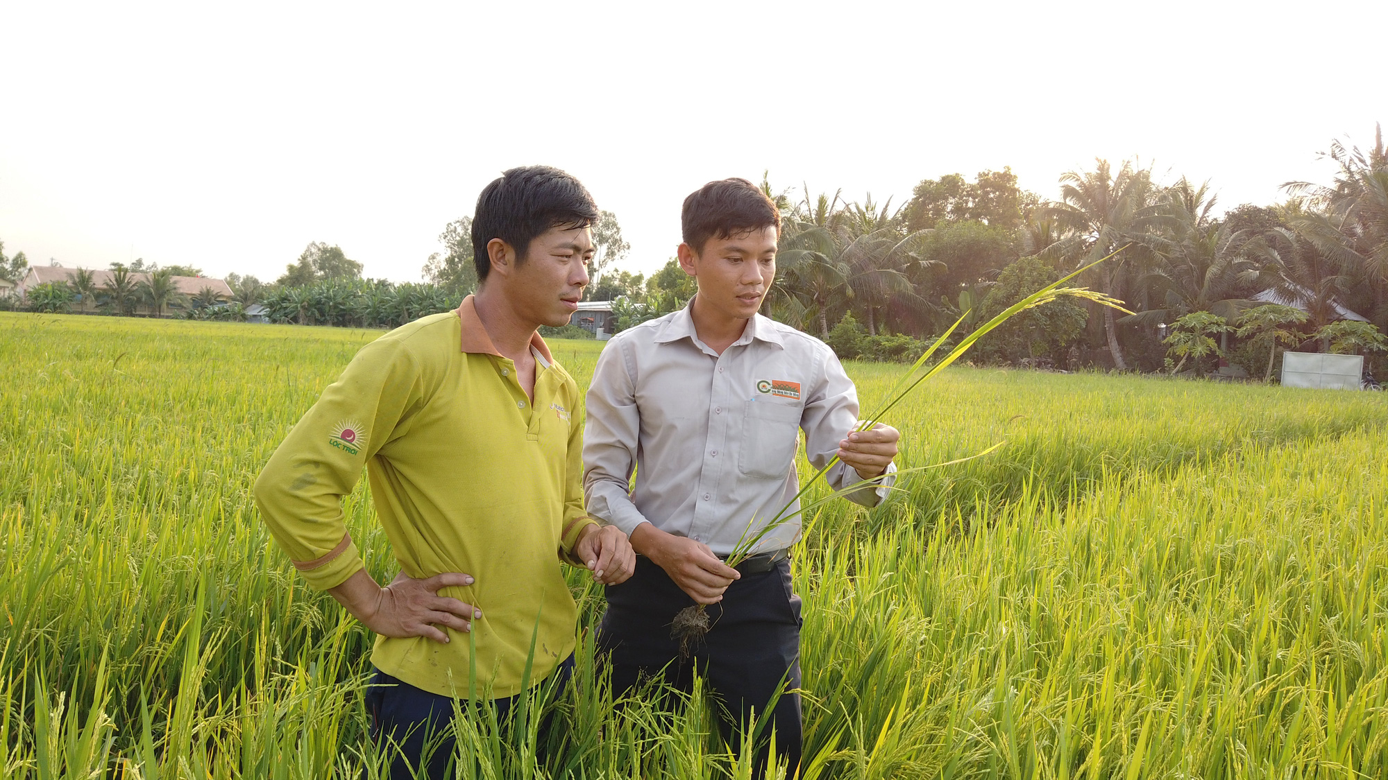 Cam kết vượt chỉ tiêu lợi nhuận, lãnh đạo Lộc Trời còn khiến cổ đông “mát lòng mát dạ” vì điều này - Ảnh 3.