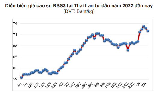 Giá cao su hôm nay 14/4: Bất ngờ đảo chiều tăng mạnh, dự báo &quot;nóng&quot; giá cao su cuối tháng 4 - Ảnh 6.