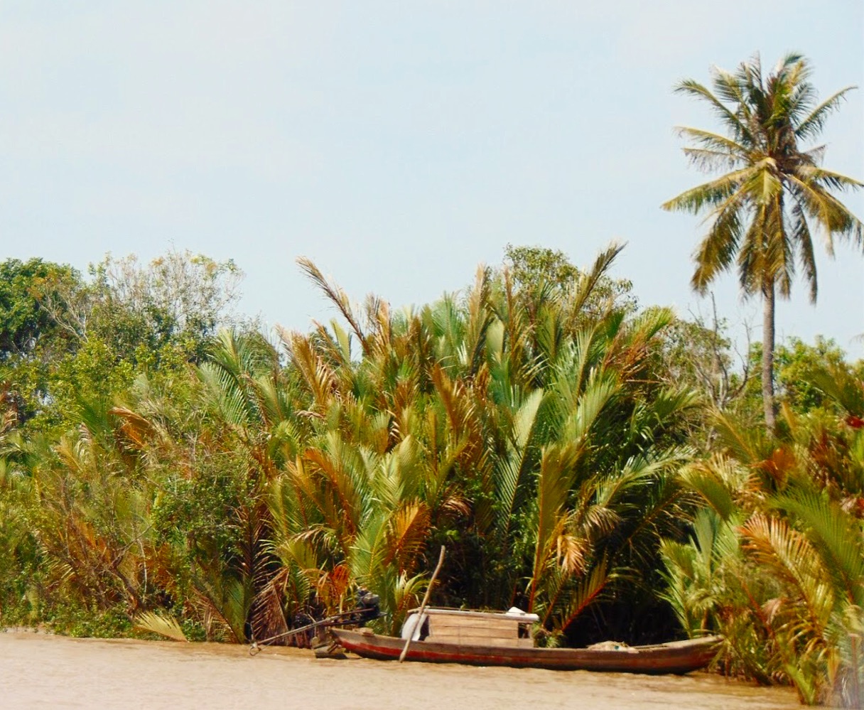 Kể chuyện làng: Thương cây dừa nước bến quê