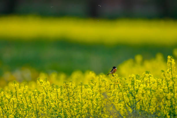 Born on which 4 days, there are abundant blessings, your support, life is less bumpy?  - Photo 1.