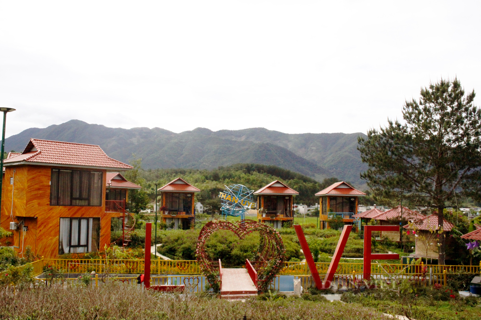 Khám phá vẻ đẹp ngất ngây trên đồi tình yêu Love Hill ở Lai Châu  - Ảnh 3.