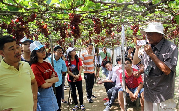 Hội Nông dân và Bưu điện tỉnh Ninh Thuận ký thỏa thuận hỗ trợ đưa nông sản lên sàn thương mại điện tử - Ảnh 4.