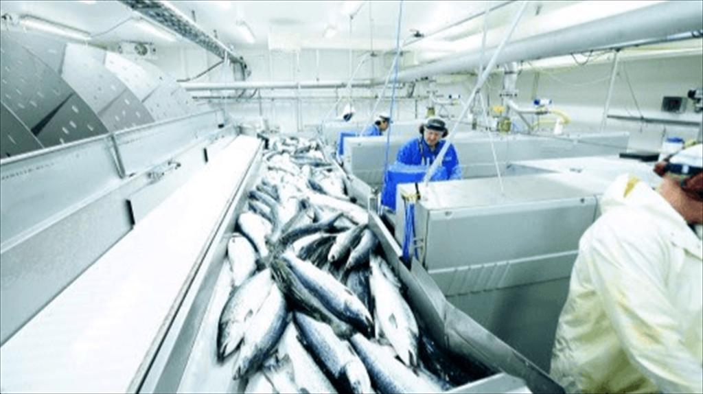 Xuất khẩu thủy sản của Na Uy đạt kỉ lục lên 3,9 tỷ USD trong quý I/2022 - Ảnh 1. Xuất khẩu thủy sản của Na Uy đạt kỉ lục lên 3,9 tỷ USD trong quý I/2022 - Ảnh 1.