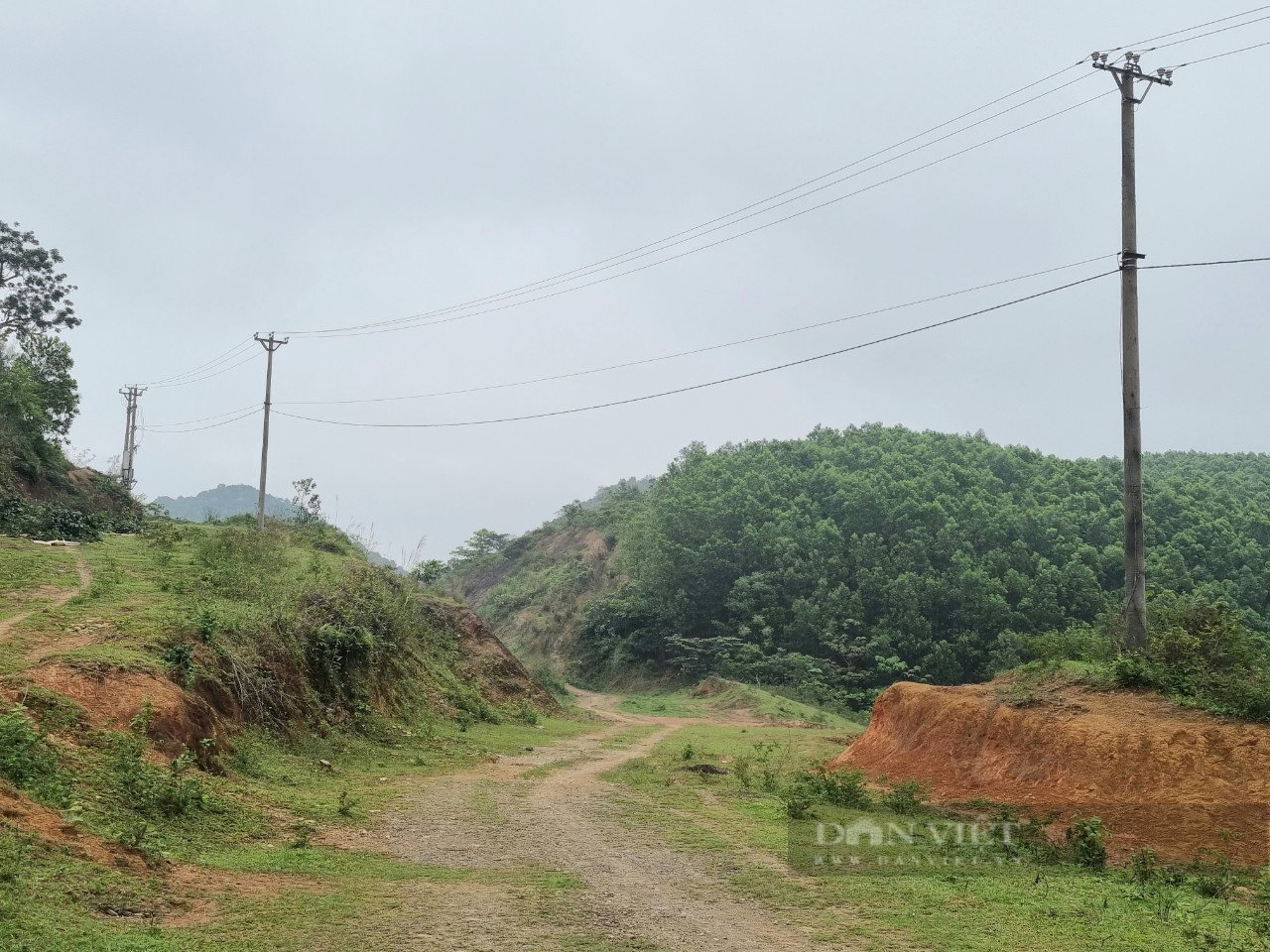 Ninh Bình: Xót xa hơn 65 ha đất bỏ hoang suốt 12 năm cho cỏ mọc - Ảnh 9.