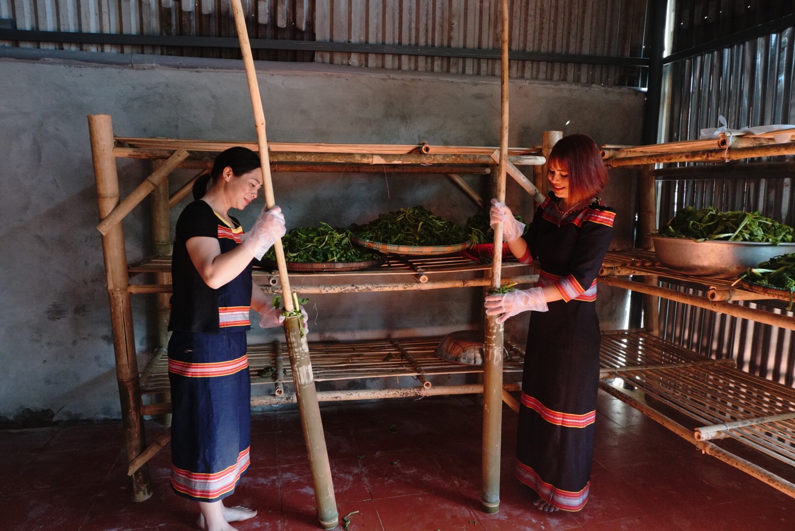 Thứ rau quê này phơi trong màn rồi nhét vô ống tre lồ ô muối ra món đặc sản Kon Tum đắt xắt ra miếng - Ảnh 2.