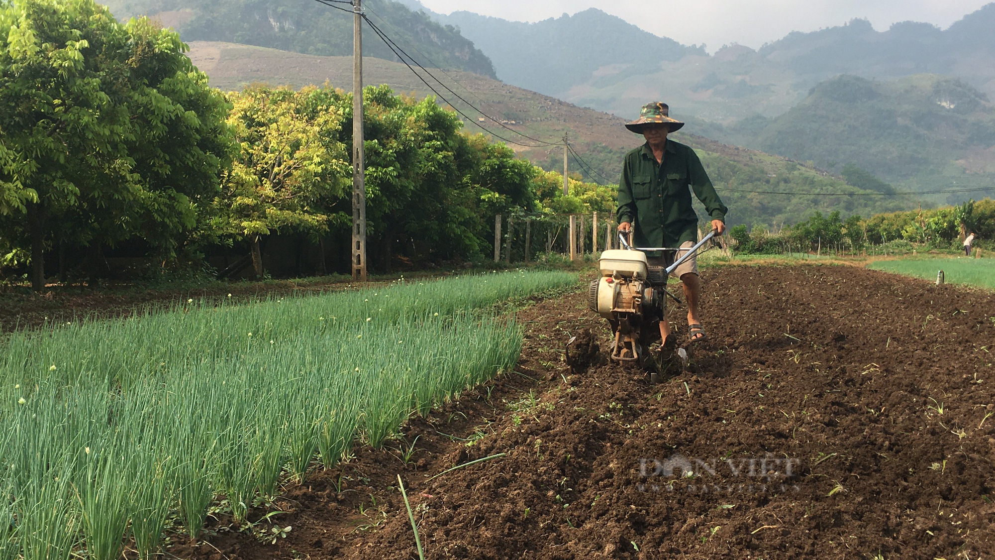 Trồng lung tung các loại rau ngắn trên núi, nông dân lãi đậm - Ảnh 3.