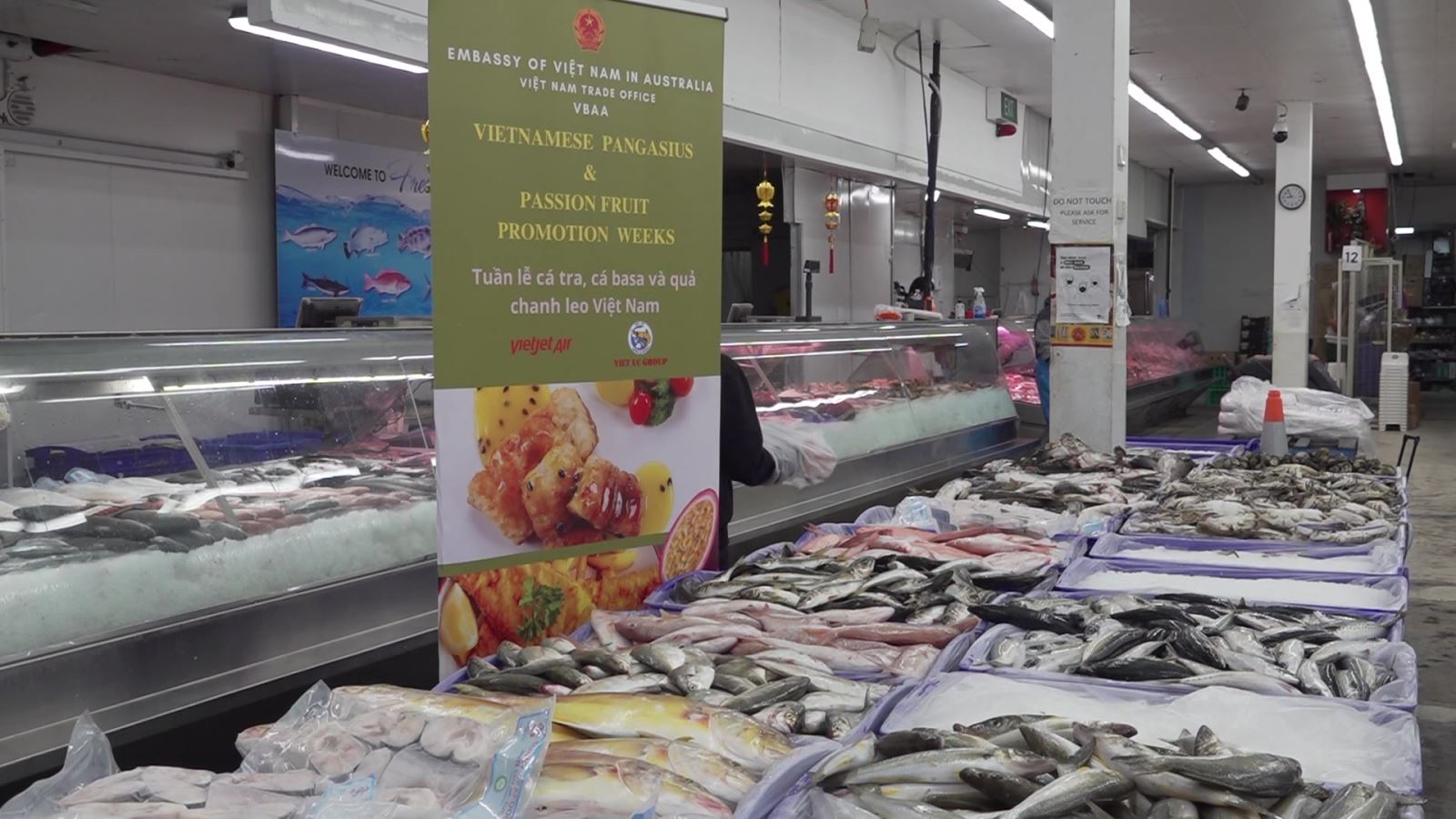 Úc mua đến 99,9% một loài cá không có vảy, nuôi nhung nhúc ở Việt Nam, nông dân thu lãi đậm - Ảnh 2.