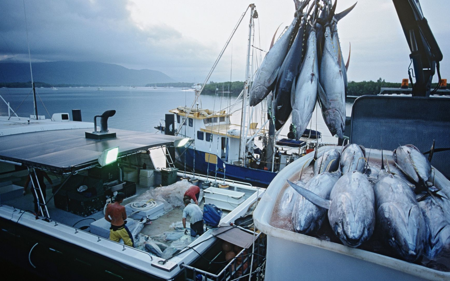 Top 10 seafood enterprises with record growth, upstream stocks despite the red market