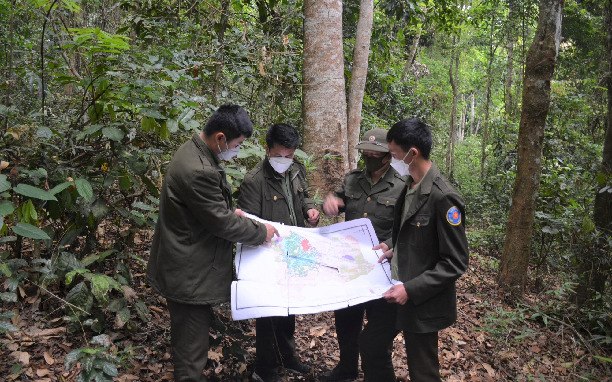 Điện Biên: Cần đẩy nhanh tiến độ giao đất, giao rừng