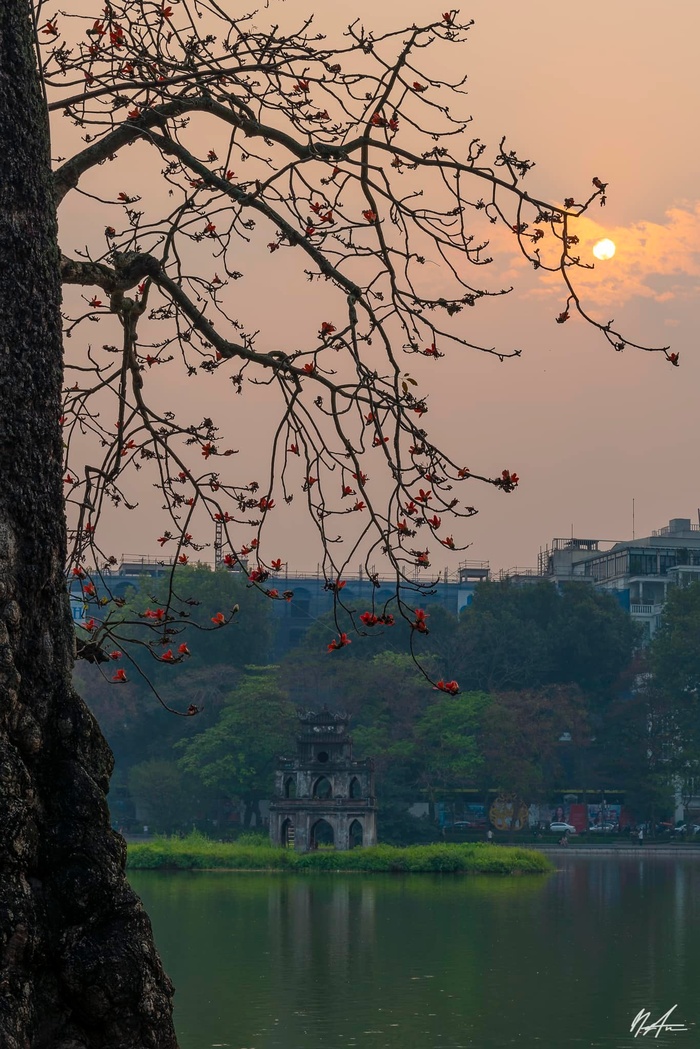 Những nhành hoa gạo bờ hồ  - Ảnh 4.