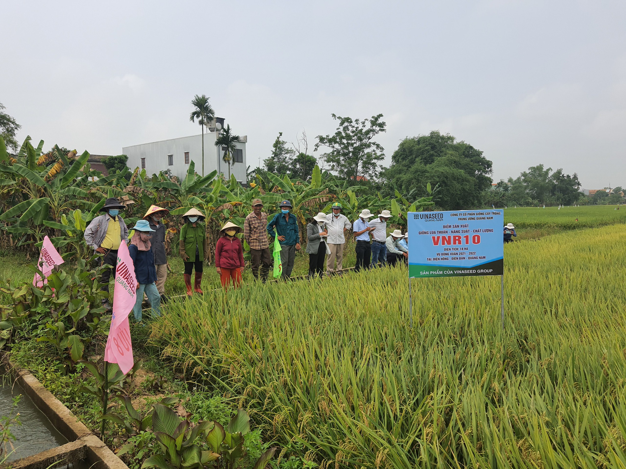 Nông dân: Nông dân là những người vất vả và cần được tôn trọng. Họ giữ vững nền nông nghiệp Việt Nam phát triển và cung cấp những sản phẩm tốt nhất cho người tiêu dùng. Chúng ta hãy cùng chiêm ngưỡng bức ảnh liên quan đến nông dân để ghi nhận công sức và cống hiến to lớn của họ.