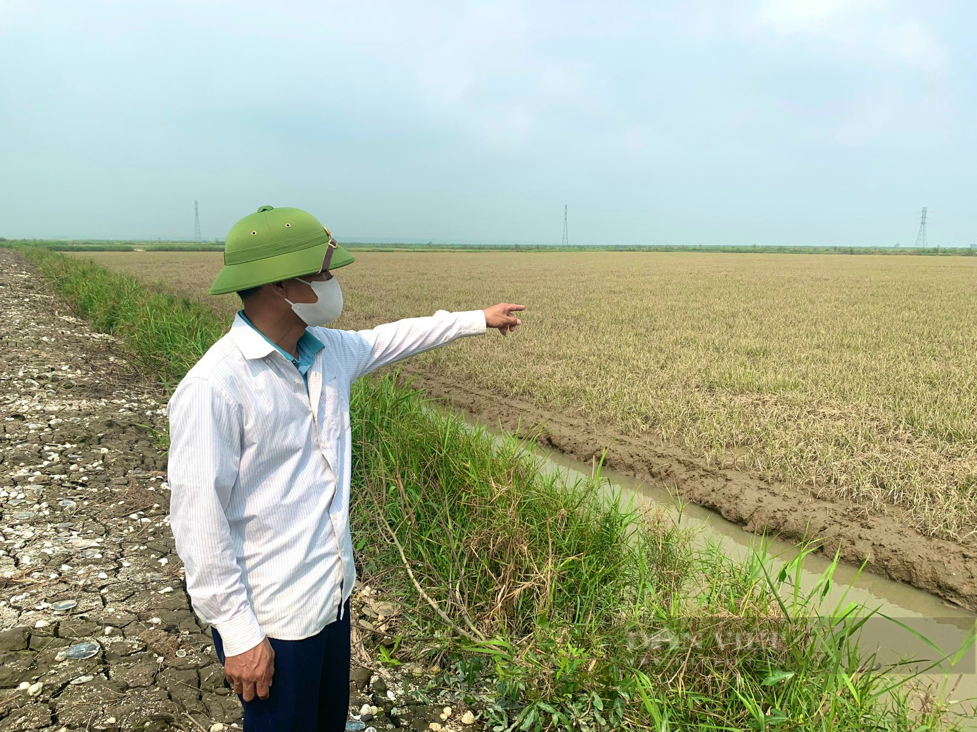 Nông dân rơi nước mắt trên cánh đồng lúa chết sau mưa lũ bất thường ở Quảng Bình - Ảnh 4.