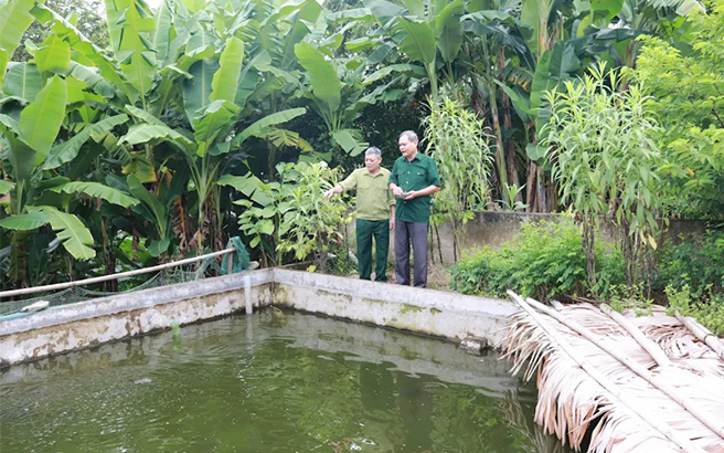 Nuôi &quot;cá tiến vua&quot; ăn tạp mà chậm lớn, bán đắt nhà giàu vẫn mua, một làng ở Yên Bái thu hàng chục tỷ/năm 