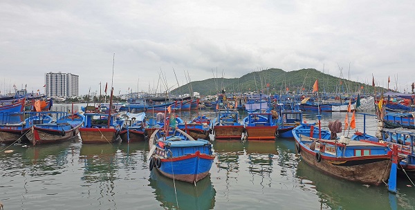 Quy hoạch cảng cá: Không chỉ là nơi &quot;cá lên bờ&quot;, cần hướng tới phát triển du lịch - Ảnh 1.