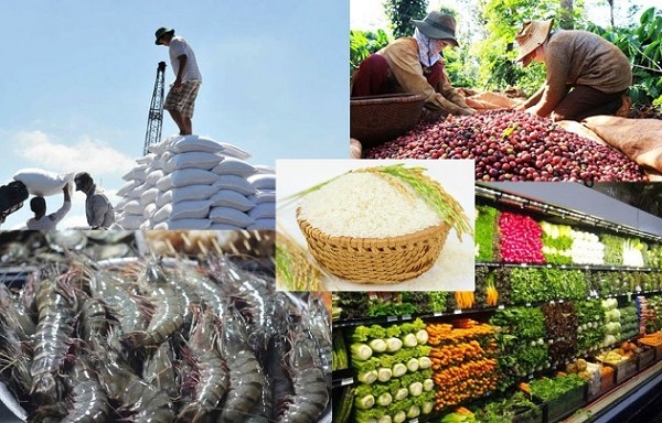 Thúc đẩy xuất khẩu gạo, cà phê, tiêu, thủy sản... vào Algeria - Ảnh 1.