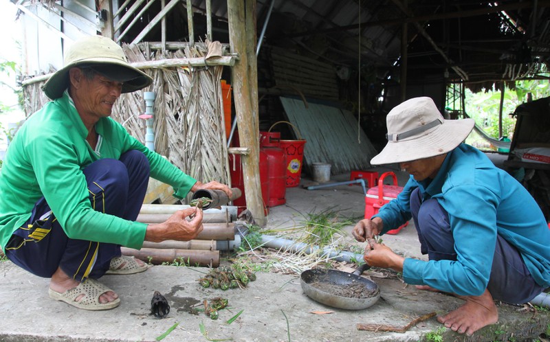 Vô đồng hoang bỏ rậm ở Cà Mau bắt con đặc sản to dài, bán đắt tiền, dù quê hay thành phố đều mê tít - Ảnh 1.