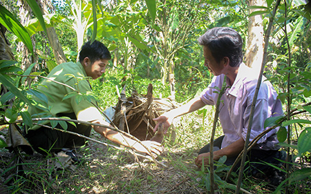 Nhà này ở Hậu Giang nuôi vịt gì mà kiểm lâm cứ vào kiểm tra, đẻ liên tù tì mấy tháng không kịp cản?