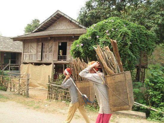 Hướng về tuần lễ Cúc Phương đại ngàn Ninh Bình - Ảnh 2.