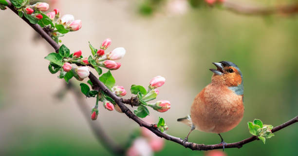 Born in this lunar month, there is no shortage of noble people, in times of emergency, there will be help, turning difficulties into opportunities