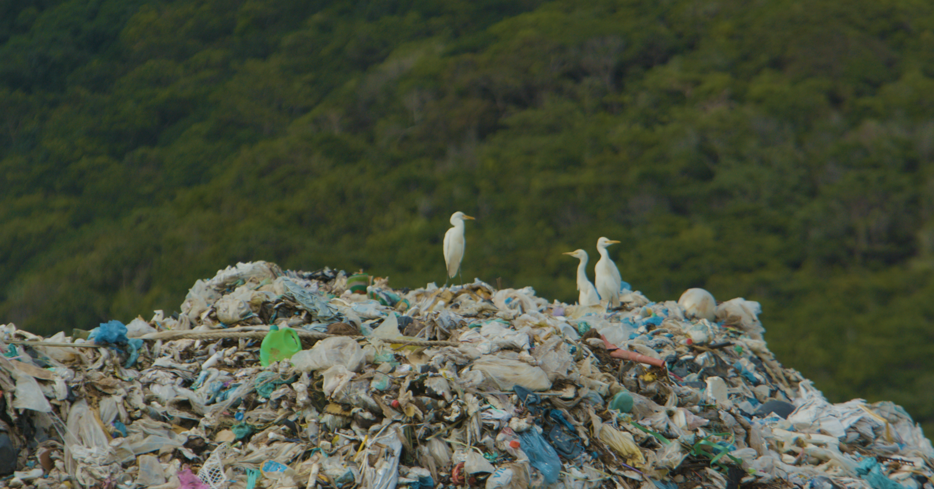 5 tips to catch up with the plastic reduction tourism trend in Con Dao