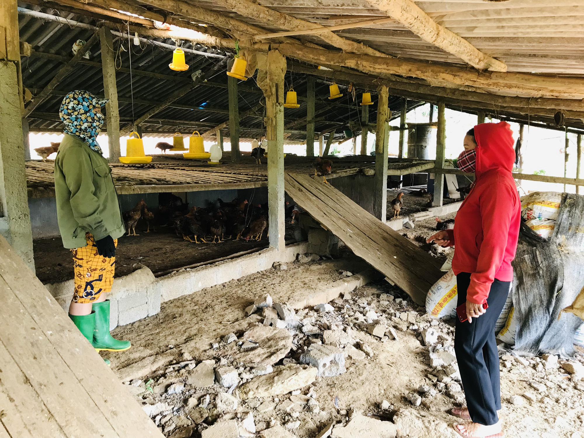 Tỷ phú Hà Giang trồng cây giang bán lá, nuôi gà thiến con nào cũng chắc nịch - Ảnh 2.