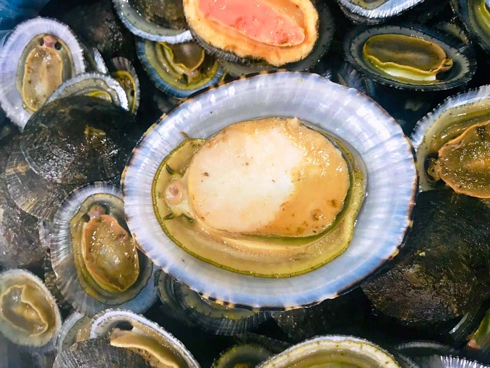 Đặc sản biển quý hiếm với cái tên kỳ lạ ở Côn Đảo, ăn vào cảm nhận vị ngọt, thơm - Ảnh 1.