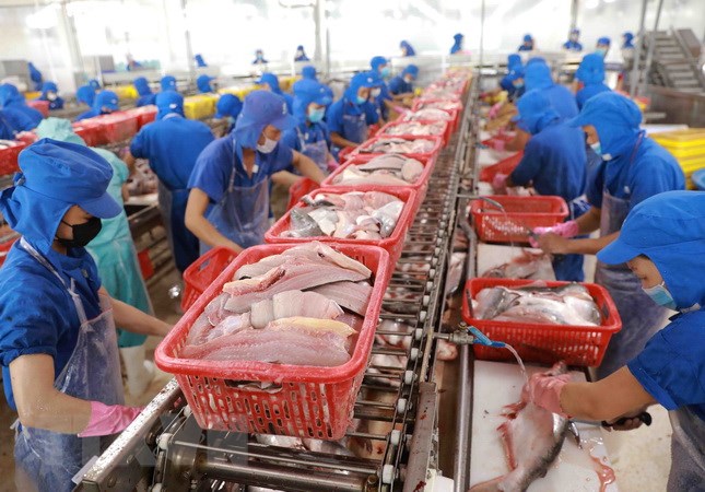 Việt Nam đã thu 7 tỷ USD từ thủy sản, Bộ NNPTNT họp với 9 hiệp hội ngành hàng xây dựng chuỗi liên kết  - Ảnh 2.