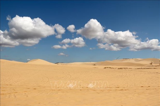 Đồi cát trắng ở một xã của Bình Thuận có gì mà vạn người mê, gọi là &quot;Tiểu sa mạc Sahara&quot;? - Ảnh 5.