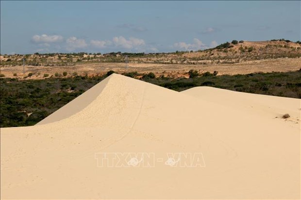 Đồi cát trắng ở một xã của Bình Thuận có gì mà vạn người mê, gọi là &quot;Tiểu sa mạc Sahara&quot;? - Ảnh 7.