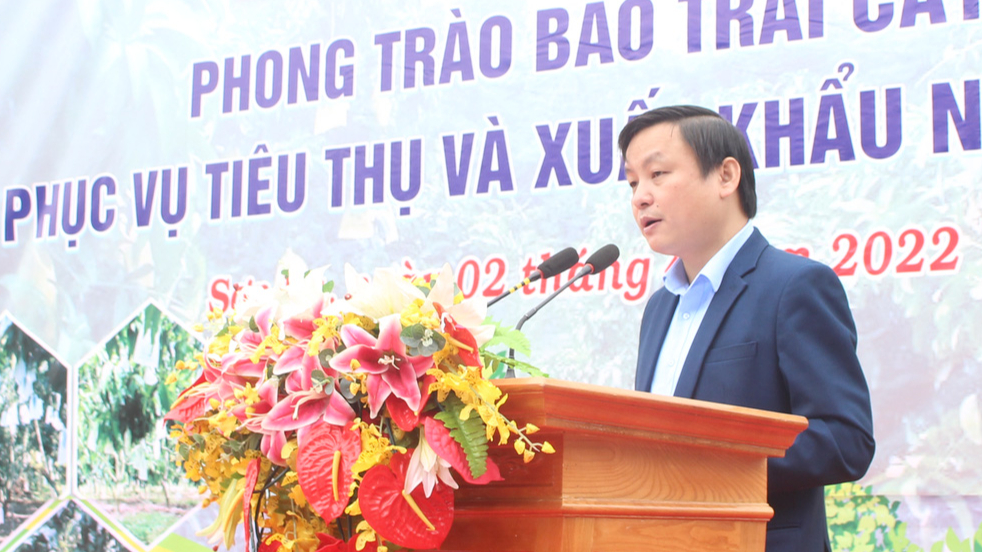 Nông dân Sơn La phấn đấu &quot;mặc áo&quot; 15 triệu trái cây - Ảnh 2.