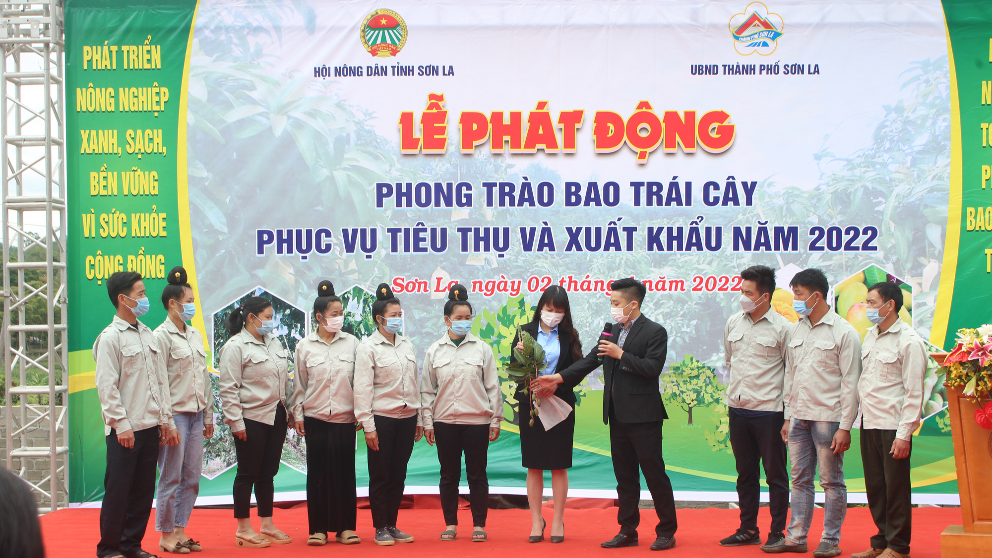 Nông dân Sơn La phấn đấu &quot;mặc áo&quot; 15 triệu trái cây - Ảnh 1.