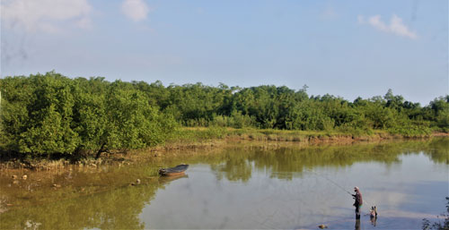 Độc đáo rừng bần ven sông Lam - Ảnh 1.