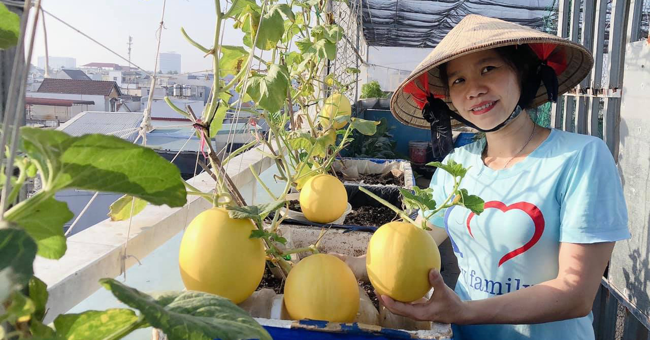 Carrying the land to grow vegetables on the terrace, my mother takes care of Dong Nai picking vegetables and fruits