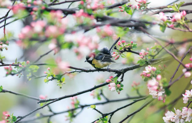 Phụ nữ sinh ngày Âm lịch nào thì sống phú quý, cưới đúng người, cả đời viên mãn? - Ảnh 3.